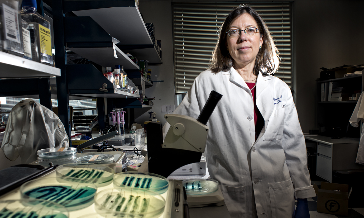 Infectious disease specialist Cynthia Sears is shown in her lab